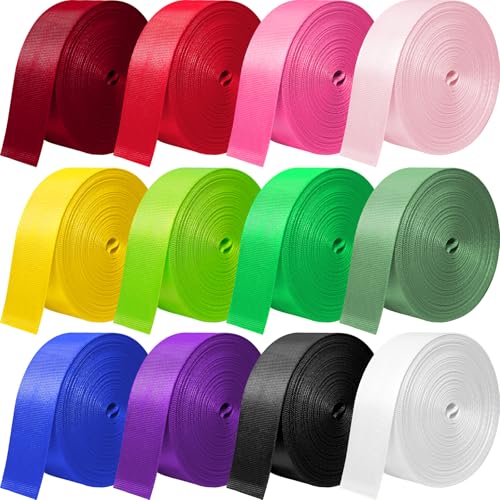 YOGHAVRS Nylon Webbing 1 Inch 1.5 Inch, 12 Rolls Webbing Strap for for Bags, Pets, Climbing Outdoors Indoors Crafting DIY (A-12 Colors, 1 inch-3.3 Yards)