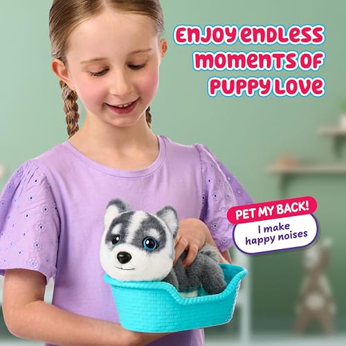 Little Live Pets My Really Real Puppy Minis – Aurora der Husky, interaktiver Puppy mit 20+ Geräuschen und Reaktionen, inklusive Korb zum Präsentieren, niedliches Geschenk für Kinder (11 cm groß)