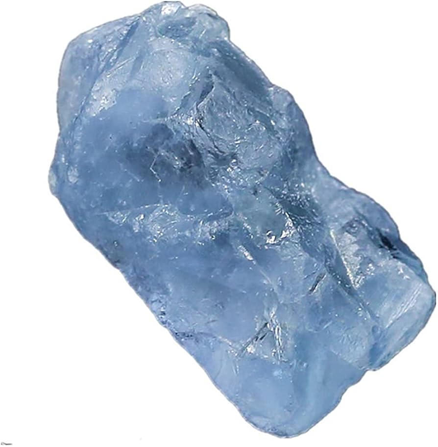 51ZPFNSkrxS._AC_UF894,