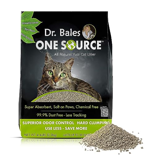 Discover the Best 10 Cat Spot Litter Products for a Clean and Happy