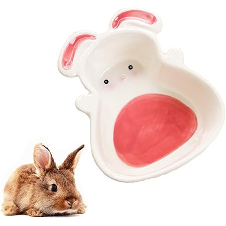 Amazon うさぎ えさ入れ フードボウル 陶器製 ペット食器 餌入れ ウォーターボウル 可愛い ウサギ型 Amakunft 食器 ボウル 通販 Amazon うさぎ えさ入れ フードボウル 陶器製 ペット食器 餌入れ ウォーターボウル 可愛い ウサギ型 Amakunft 食器 ボウル 通販