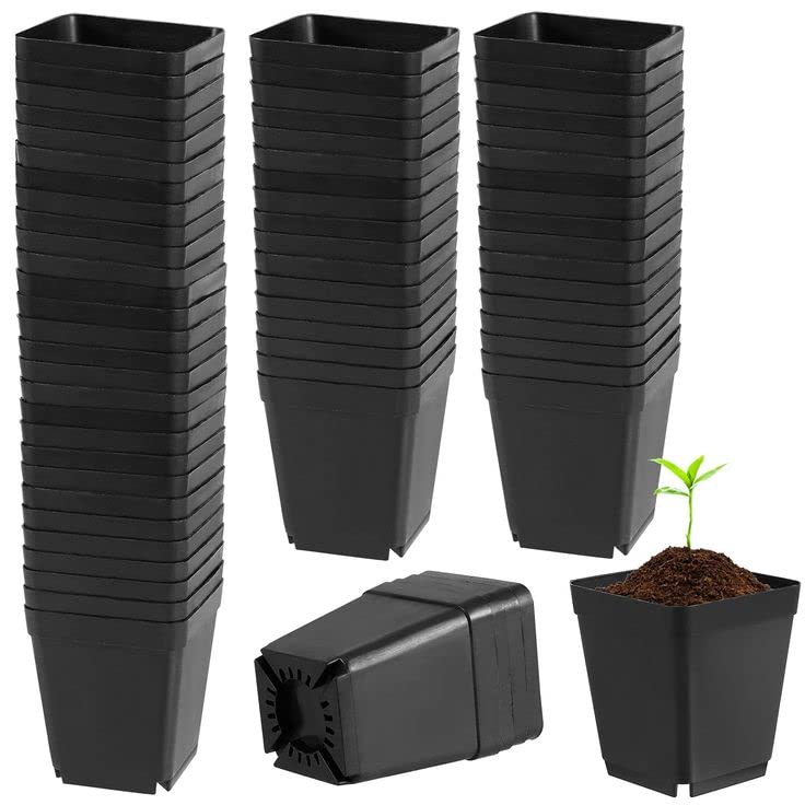 Tillage-3 Inch Square Nursery Flower Pots Black Plastic Nursery Seedling Germinating Pots (Small), Set of 25 Pcs (B0BGM73NDZ) Amazon Price History, Amazon Price Tracker