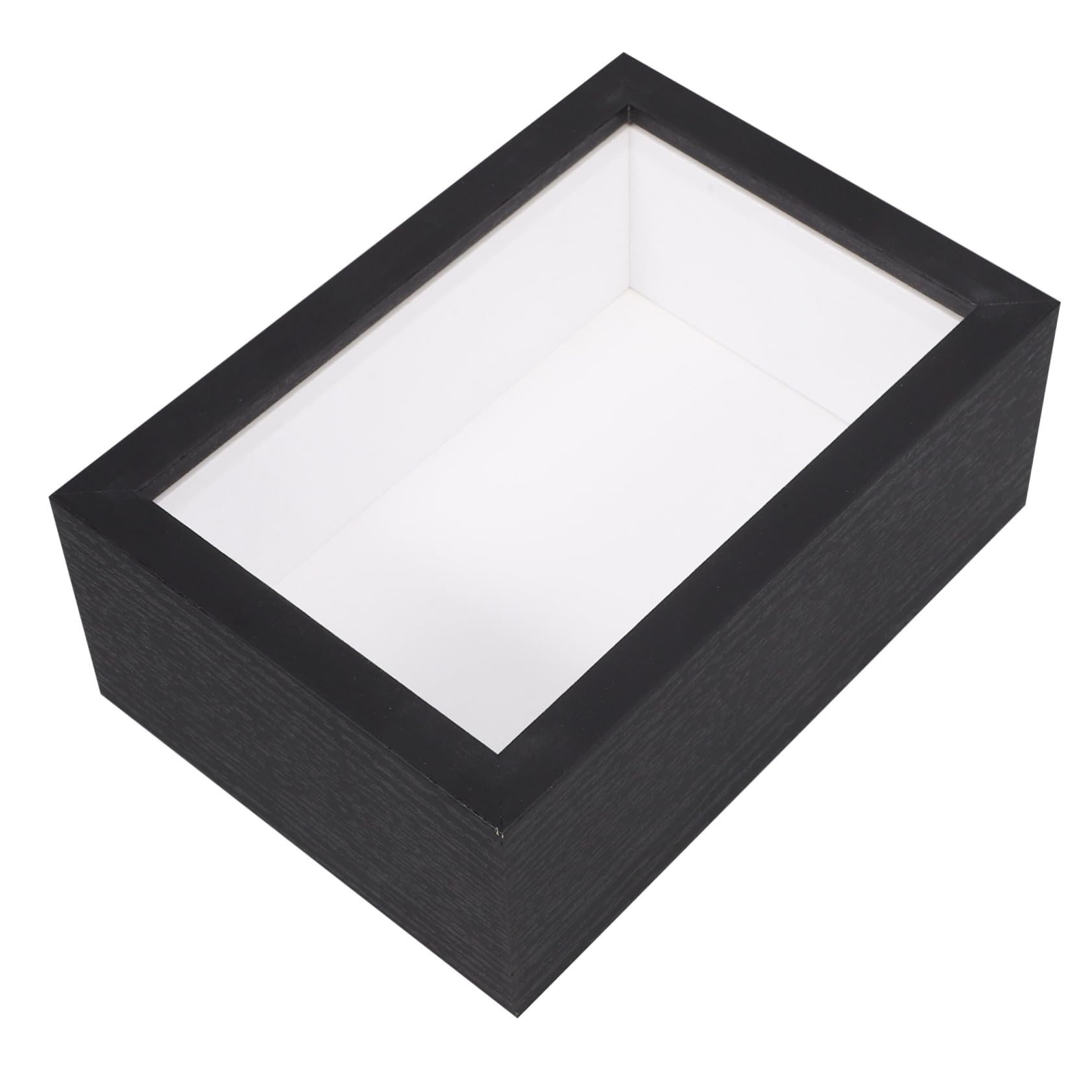 Caja de muestras de insectos con ventana de vidrio que protege flores secas y fotos