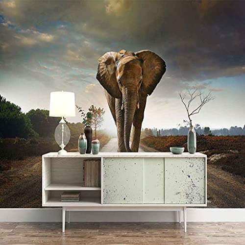 QMWZZV Papel Tapiz Fotográfico Lona Autoadhesiva Fondo De Pantalla Elefante Animal 200 x 140 cm Para Salón Dormitorio Fondo de TV Despacho Pasillo Murales Decoración de Paredes Moderna