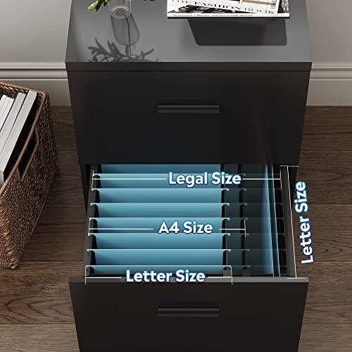 Devaise 2 Drawer Wood File Cabinet, Mobile Lateral Filing Cabinet With Storage, Letter Legal Size, Black #TOP4
