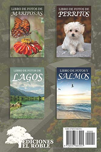 Miniatura 2 de Libro de Fotos de Jardines Ayuda para Personas Mayores con Demencia o Alzheimer (Libros que Facilitan la Lectura a Personas con Demencia) (Spanish