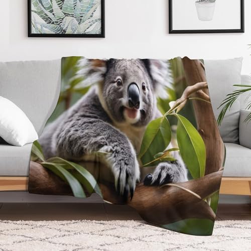 Manta de koala para sofá que transforma tu salón en un nido cálido 3