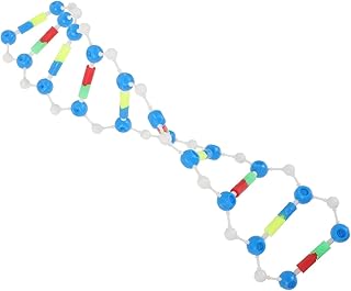 Totority DNA Model Kit Double Helix for Science Education 14.56 Inch Educational Model Biology Teaching Aid for Students