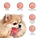 MONDOTOY Dog Chew Toy,Durable Rubber Slipper Toy for Puppy,Dog Tough Toys for Pet Training and Cleaning Teeth,Interactive Puppy Toys Aggressive Chewers Small Meduium Breed (Color)