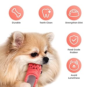 Dog Chew Toy,Durable Rubber Slipper Toy for Puppy,Dog Tough Toys for Pet Training and Cleaning Teeth,Interactive Puppy Toys Aggressive Chewers Small Meduium Breed, (Color) Dog Chew Toy,Durable Rubber Slipper Toy for Puppy,Dog Tough Toys for Pet Training and Cleaning Teeth,Interactive Puppy Toys Aggressive Chewers Small Meduium Breed, (Color)