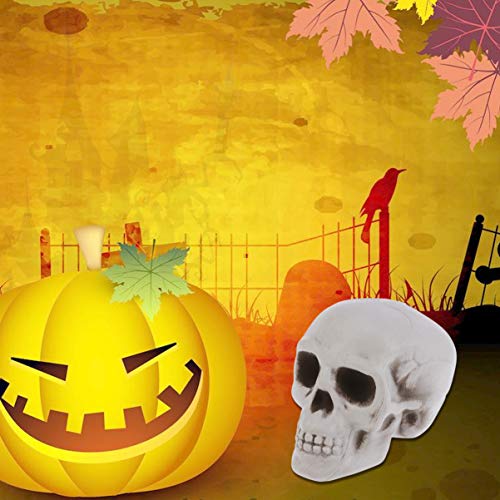 Generic 6Pcs Halloween Skeleton Skull Head Figurines Plastic Life Size Skull Heads Human Skull Model Halloween Skulls Decor For Haunted House Home Table Yard, White, Size 6 (K14527P15D) #TOP5