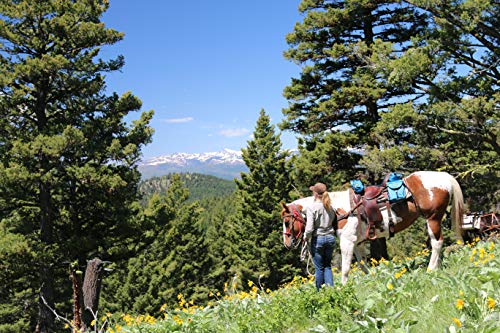 Trailmax 500 Series Deluxe 5-Pc Saddlebag System For Horse Trail Riding, With Front Pocket, Rear Saddle Bags, Cantle Bag, Pommel/Horn Pocket & Water Bottle W/Carrying Bag, Blue #TOP2