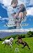 Viaje a los sentimientos (Spanish Edition)