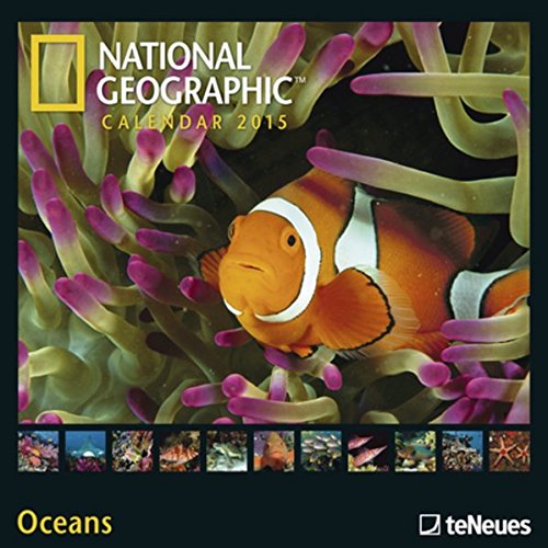 Preisvergleich Produktbild Oceans NG 2015