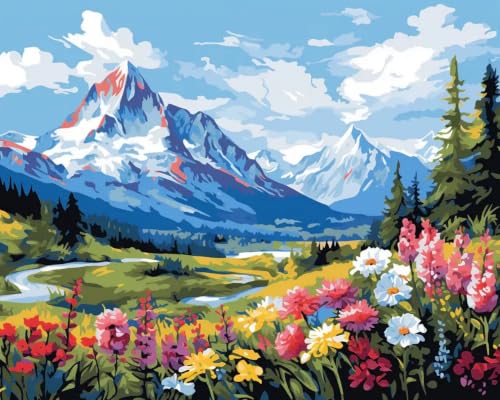 Image of Art Therapy Pcn32 Paint by Number Kit 15 x 20 Inch Linen Canvas for Adults & Kids | DIY 2 Set of Acrylic Oil Painting Colors with Brushes for Stress Relief | Easy for Beginners (Alpine Blossom Valley)