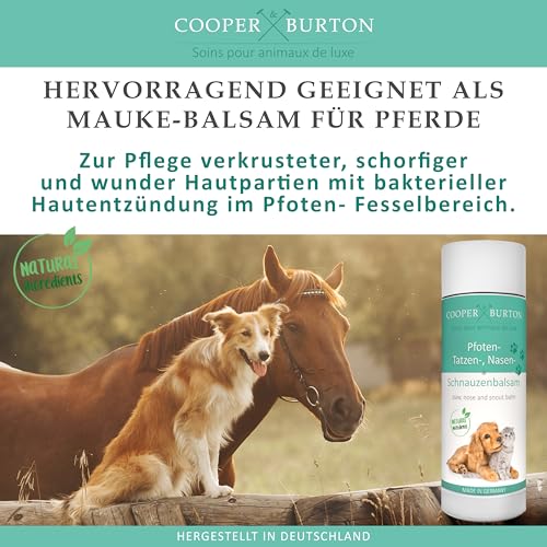 COOPER & BURTON Pfoten-, Nasen- & Schnauzenbalsam für Hunde & Katzen | Schutz vor Hitze, Kälte & Salz | Bienenwachs Propolis Carnaubau- u. Wollwachs | antibakteriell, sicher beim Ablecken | Made in DE