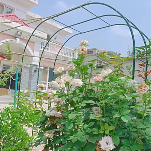 Arche de jardin verte en métal durable pour pergola de plantes