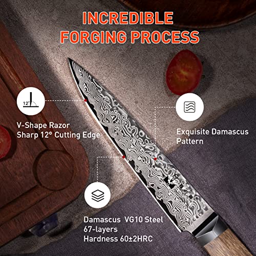 Fujuni Kitchen Utility Knife 5 Inch Damascus Small Chef Knife 67-Layer Damascus Vg10 Steel Ultra Sharp Professional Paring Knife With Hexagon Natural Wood Handle #TOP1