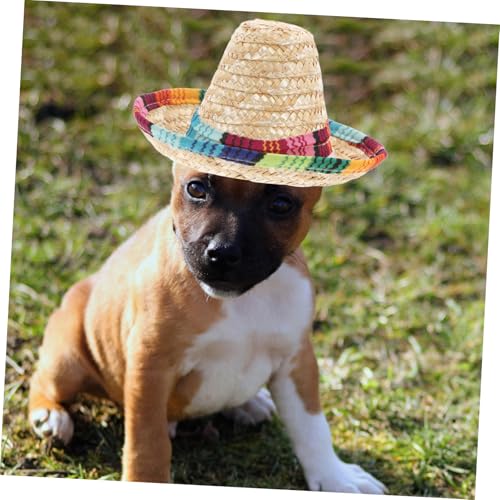 Sombrero divertido para perro disfraz fiesta miniatura 4