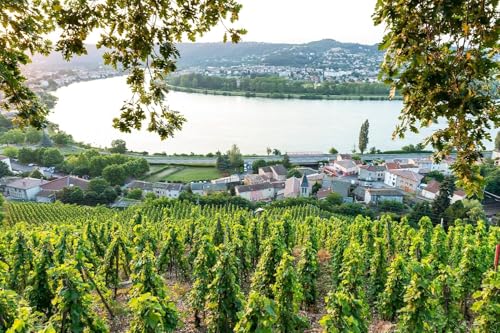 Delas Saint-Esprit Côtes-du-Rhône Rotwein Halbflasche trocken (1 x 0.375 l)