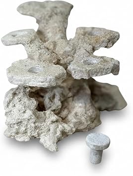 Coral Plug Holder, Natural Rock Frag Coral Growth Natural White, Small