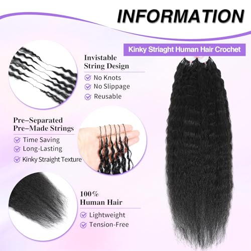Freetress Straight Crochet Hair product image