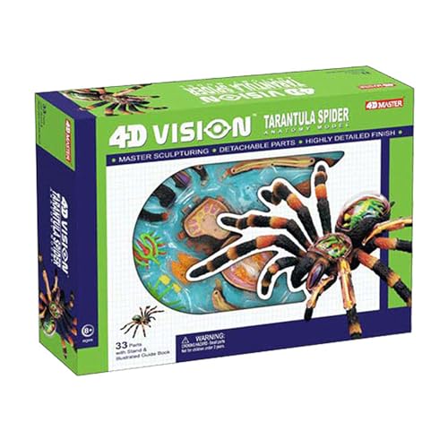 KDOFIO 4D Vision Spider Anatomy Models - Removable 33 Parts Organs and Body Parts Medical Teaching Model - for Study Diaplay Teaching,Animal Anatomical Model