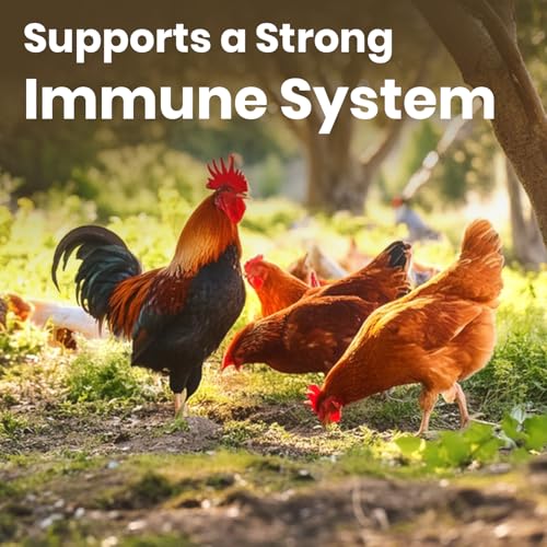 Brandsfinity 10kg Premium Bird Food for Wild Birds - Wild Dove, Wild Pigeon & Others - Green Millet, Crushed Maize, Barley, Wheat, Safflower & More for Healthy, Vibrant Birds