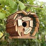 bird nest beijing opening hours ★Entwickeln Sie mehrere Fähigkeiten: Das DIY-Bastelkit aus Holz für Vögel hilft dabei, die Fähigkeit von Jungen und Mädchen zur Handkoordination zu verbessern, ihre Kreativität und Fantasie zu verbessern, ein nützliches Werkzeug für die Kunsterziehung.