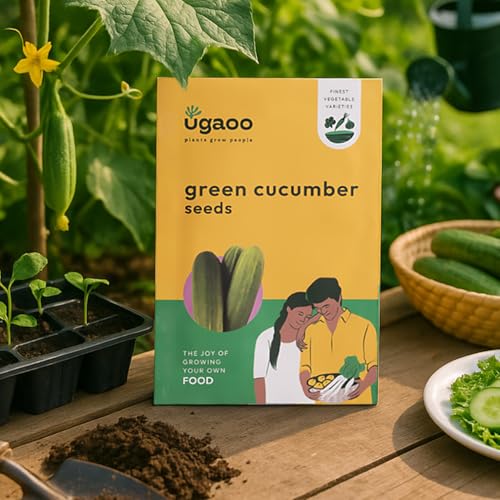 UGAOO Long Cucumber Vegetable Seed (Green, Pack of 1.2g)