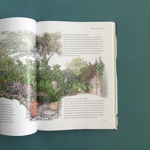 Minhas plantas - paisagismo para todos: (até os sem quintal)