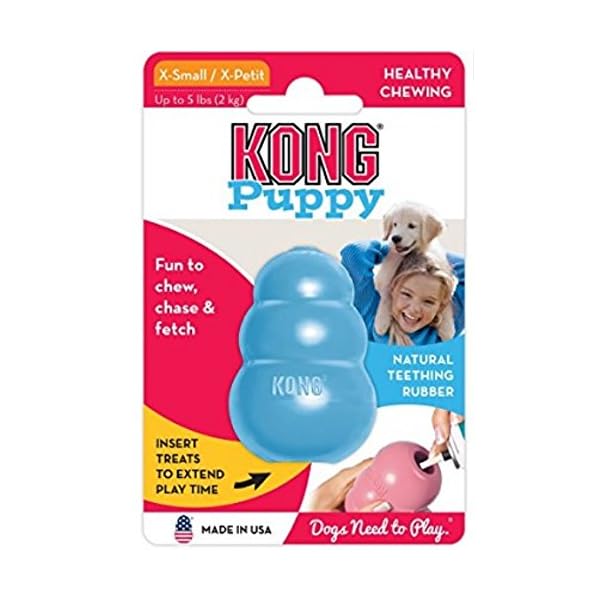 KONG Puppy Toy, X-Small, Blue KONG Puppy Toy, X-Small, Blue