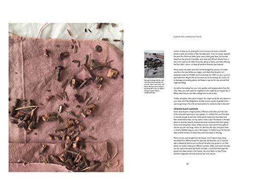 Seasonal Plant Dyes: Creating year round colour from plants, beautiful textile projects (Crafts) - Thumbnail 4