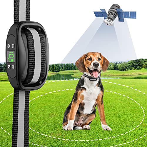 11 Best Wireless Dog Fence For 2 Acres in 2023 Top Brands Review