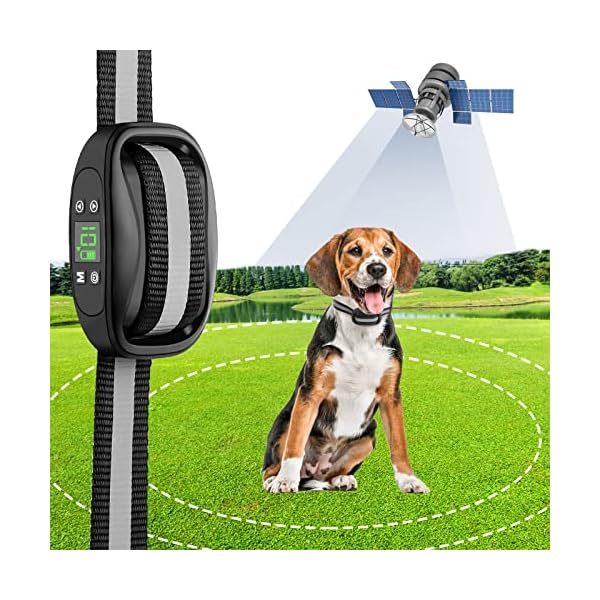 Accurate Wireless GPS Pet Containment System Buy Online