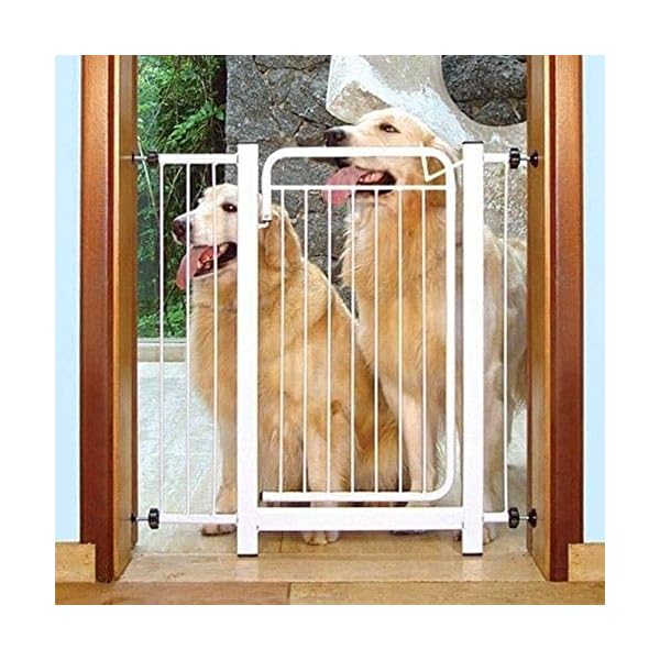 Grade De ProteÃ§Ã£o para Pet CÃ£es Para Portas PortÃ£o atÃ© 80cm - Imagem 4