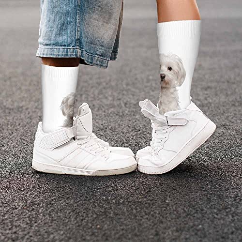 Image of Pehede Socks Mens Fun Dress Socks for Women Funny Novelty Crazy Design Socks