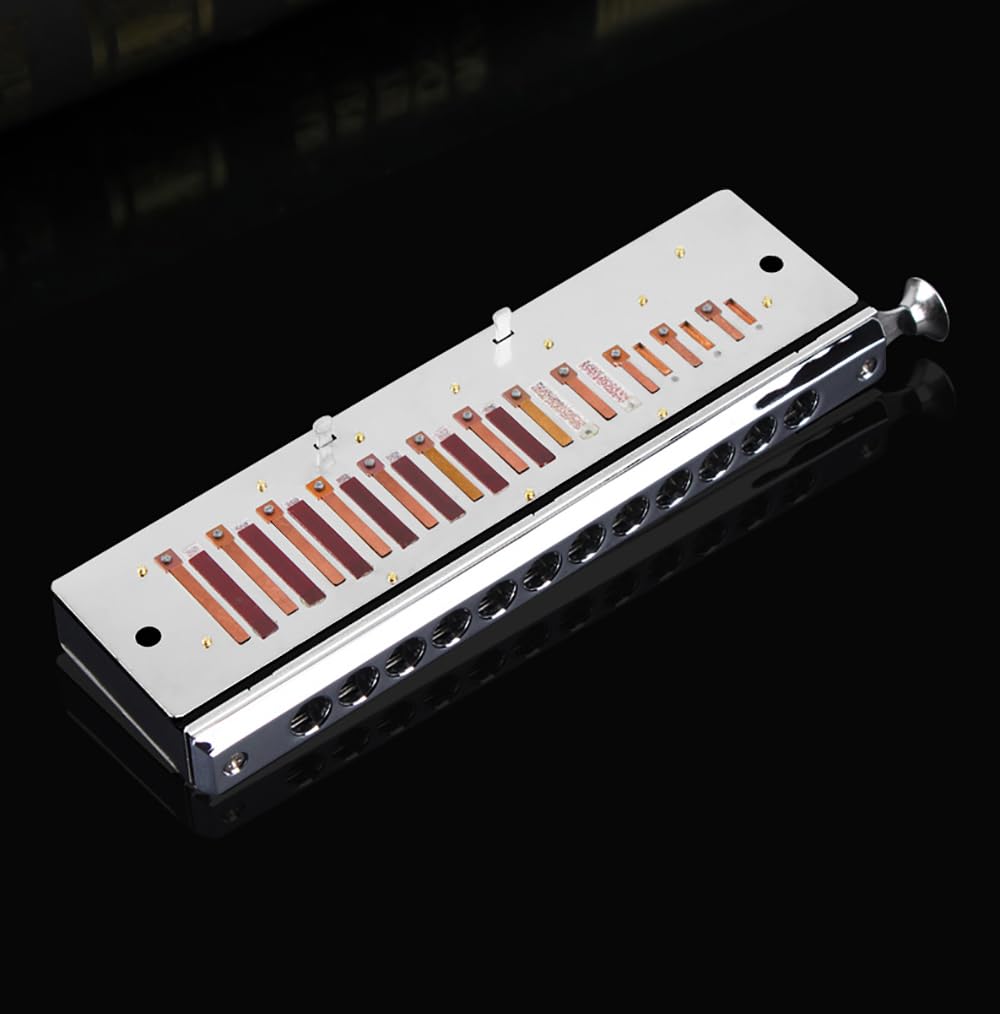 Swan 12 otworów 48 tonów chromatyczna harmonijka C klucz czarny metalowy profesjonalna harmonijka ustna gra na instrumentach muzycznych prezenty dla miłośników muzyki