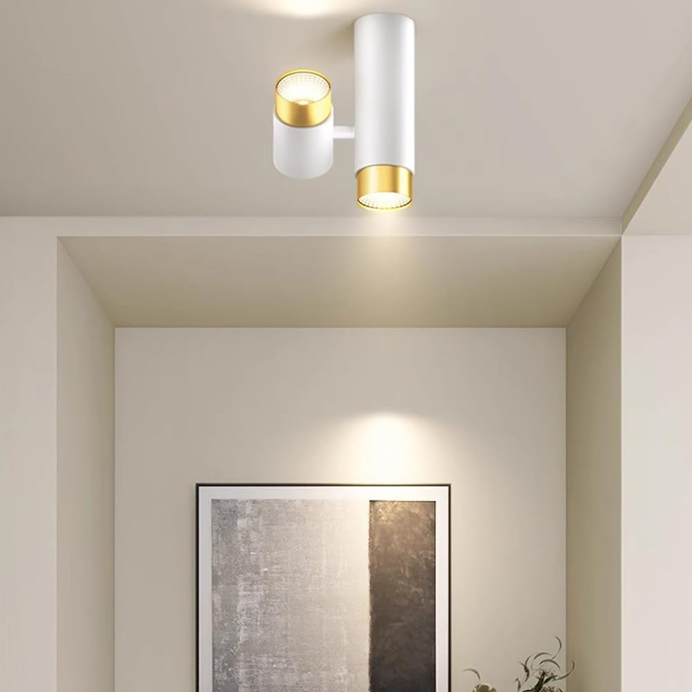 Ceiling Spotlight Aluminum 6.7'' Cylinder Down Light Indoor Modern Rotatable Ceiling Spotlight Fixtures for Entrance Living Room Hallway - GU10 Socket