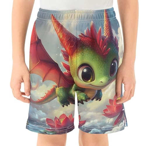 Cute Dragon Animal Print Shorts Summer for Boys Elastic Waist Sweat Shorts Print Outdoor Trunks 7-82
