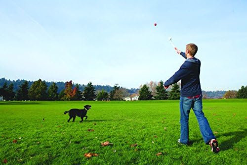 Chuckit! Sport Dog Ball Launcher Fetch Dog Toy Ball Thrower With Large Tennis Ball Large Ultra Ball Compatible, Large, 66cm