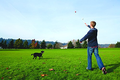 Chuckit! Sport 18M Dog Ball Launcher, 18" Length, Includes Medium Ball (2.5") For Dogs 20-60 Pounds #TOP4