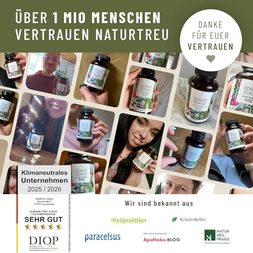 Immunsystem-Komplex - 500mg Echinacea mit Vitamin C Zink Selen L-Histidin & Kalmegh - Immunsystem stärken * vegan & ohne Zusätze - 120 Echinacea Purpurea Kapseln für 60 Tage