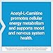 Life Extension Acetyl-L-Carnitine, Acetyl-L-Carnitine, Vitamin C, Brain, Mood & Nerve Health, Cellular Energy, 3-Month Supply, Gluten-Free, Non-GMO, Vegetarian, 100 Capsules
