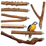 GRIRIW 7 Pièces Perchoirs À Oiseaux en Bois De Poivre pour Perroquets Perchoirs À Oisea...