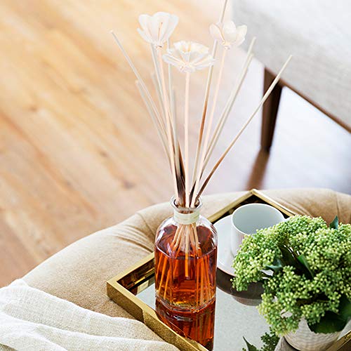 Healifty 3Pcs Reed Diffusore Bastoncini di Rattan