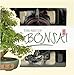 Produktbild The Art of Bonsai (Lifestyle Box Sets)