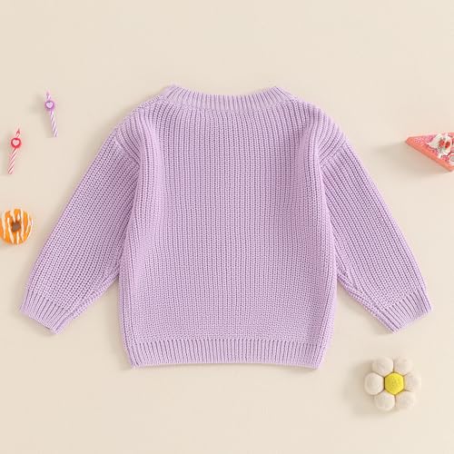 Honganda Infant Baby Girl First Birthday Sweater One Flower Embroidery Crew Neck Long Sleeve Knit Sweatshirt Fall Winter Top4
