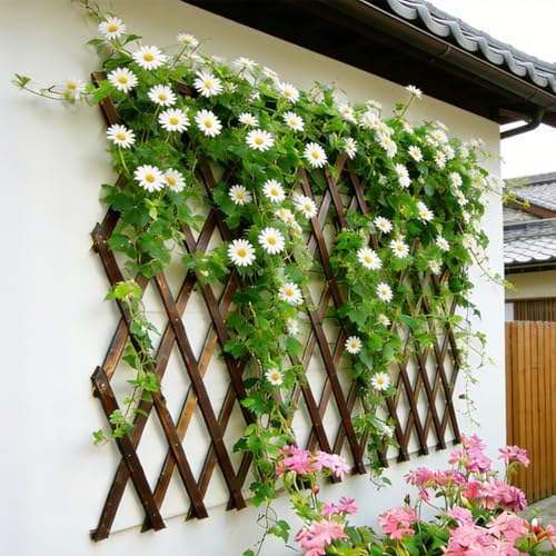 Image of 2Pcs Expandable Garden Trellis, 38 inch x 89 inch Large Wooden Lattice Fence Wall Panel Lattice Trellis for Climbing Plants Outdoor Ivy Vine Rose Clematis for Garden Patio Room Decor (2Pcs Brown)