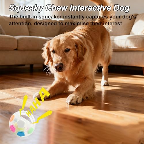 The Mellow Dog Calming Ball, Hundespielzeug Unzerstörbar, Anti Stress Ball Hund, Hundeball mit Handle, Interaktives Hundespielzeug Ba-ll, Antistressball für kleine, mittelgroße und große Hunde Blue)